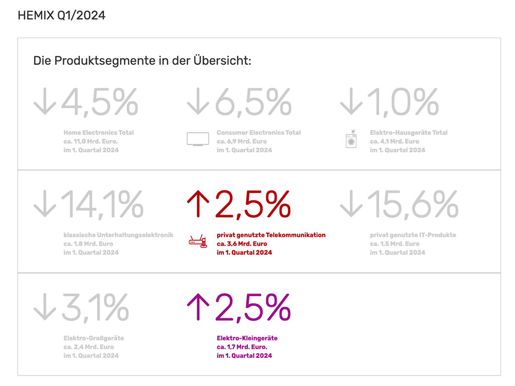 HEMIX, Verluste im 1. Quartal 2024