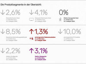 HEMIX im 1. Halbjahr 2024 weiterhin mit roten Zahlen.