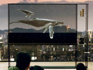 Erster transparenter 4K OLED-TV von LG feiert Premiere